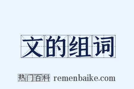 文的组词是什么意思的图片